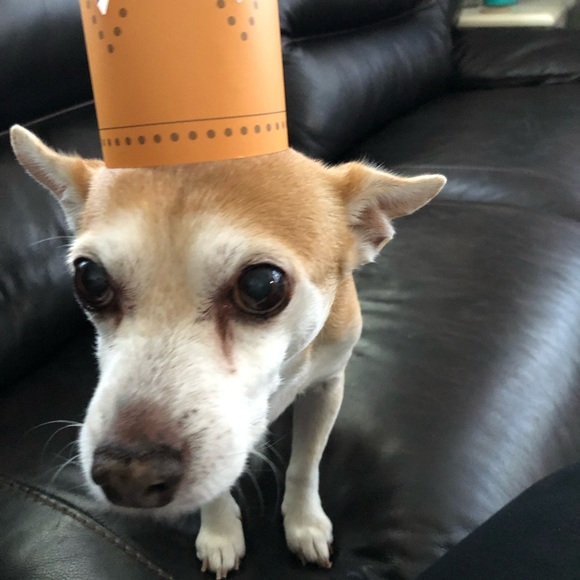 Meet your Posher, Jen - Picture 9 of 12